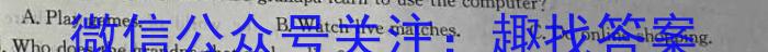 河南省2023-2024学年度七年级下学期阶段第五次月考英语