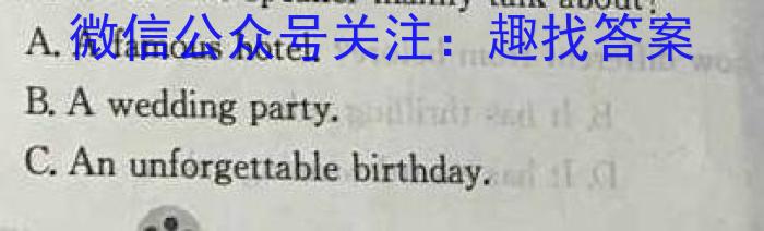 安徽省2023-2024学年度第二学期九年级阶段模考英语试卷答案