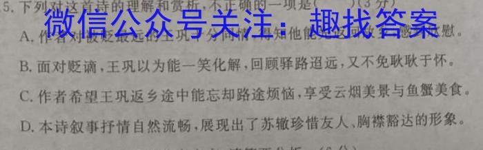 安溪一中、养正中学、惠安一中、泉州实验中学2024年高三年高考模拟训练语文