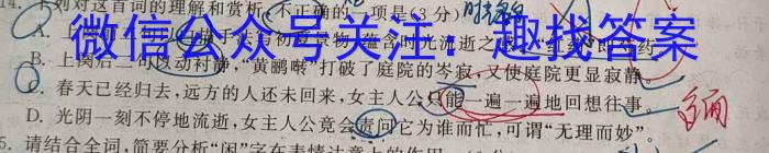 云南省2024届云南三校高考备考实用性联考卷(六)6(黑黑白白黑白黑)/语文