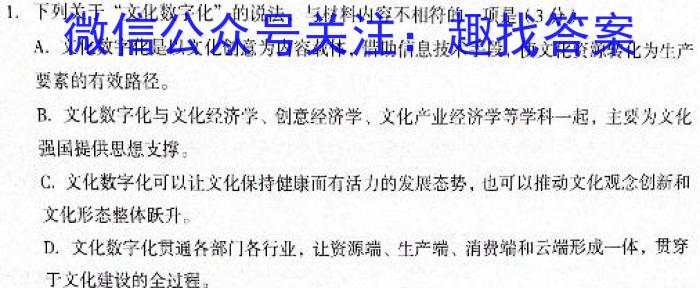 河南省2023-2024学年度下学期九年级培优监测试题/语文