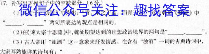 皖智教育 安徽第一卷·2024年安徽中考第一轮复习试卷(六)6/语文