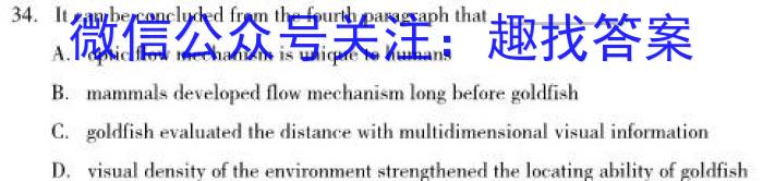 2024届河南省中考导向总复习试卷（四）英语试卷答案