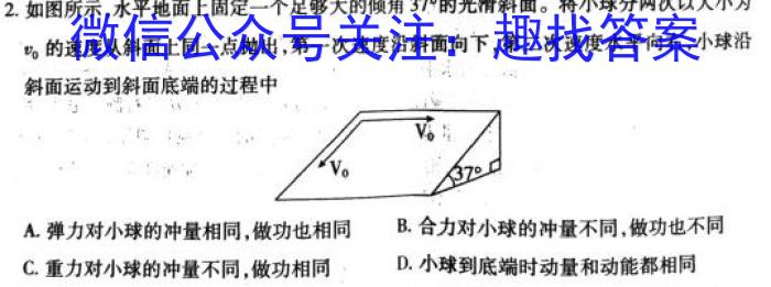 文博志鸿 2024年河北省初中毕业生升学文化课模拟考试(预测一)物理试卷答案