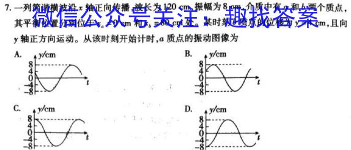 福建省2024届九年级期中综合评估 6L R物理`