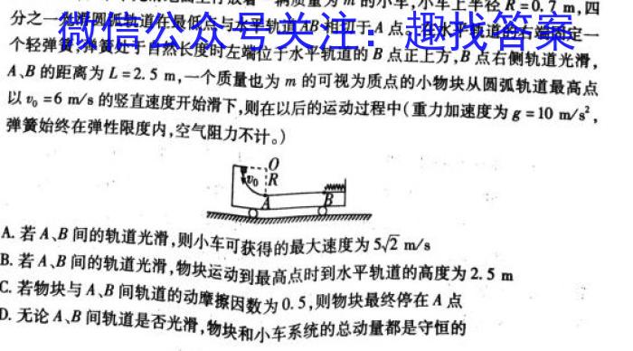 2024届河南省九年级中考真题物理试卷答案