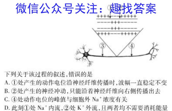 2024届衡水金卷先享题 调研卷(新教材C)一生物学试题答案