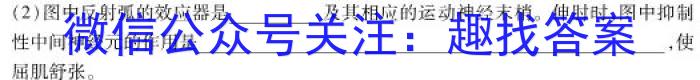 青岛市2023-2024学年度第二学期期末考试（高一年级）生物学试题答案