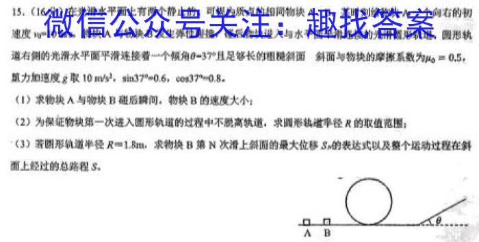 2024届河南省中考导向总复习试卷考前信息卷(一)物理试卷答案