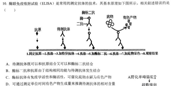 非凡吉创 2024届高三年级TOP二十名校调研考试九(243338D)生物学部分