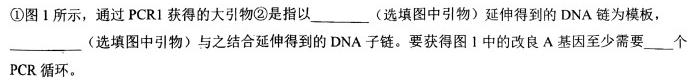 福建省2024届高三12月质量检测生物学部分