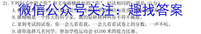 全国名校大联考 2023~2024学年高三第七次联考(月考)试卷XGK-C试题语文