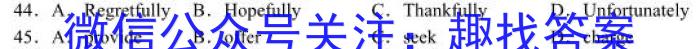 安徽省2023-2024学年同步达标自主练习·九年级第三次英语