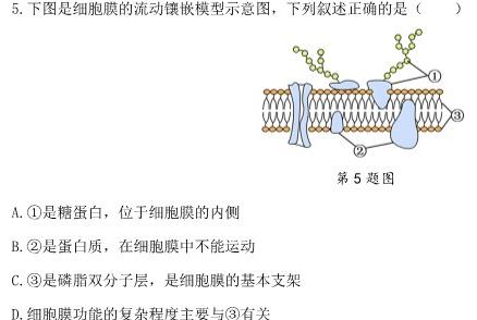 河北省2023~2024学年高二第二学期一调考试(24488B)数学试题生物学部分
