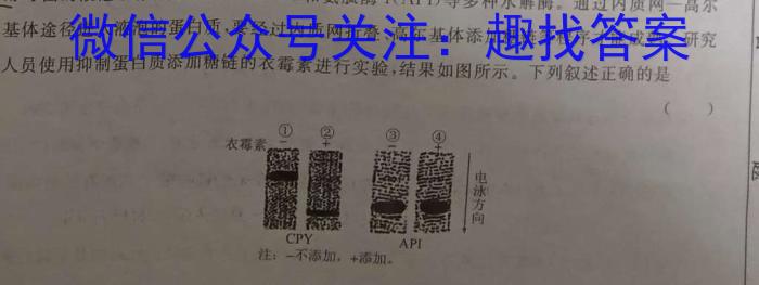 慕华优策2023-2024学年高三第三次联考生物学试题答案