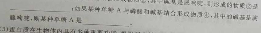 2024年安徽省初中学业水平检测（4月）生物学部分