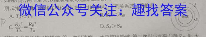 安徽省2024届耀正优+12月高三名校期末测试物理试卷答案