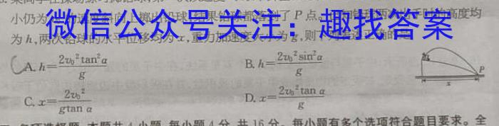ӱʡ2024꼶5ģ()xԾ