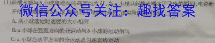 天一大联考 湖南省2024届高二7月联考物理`