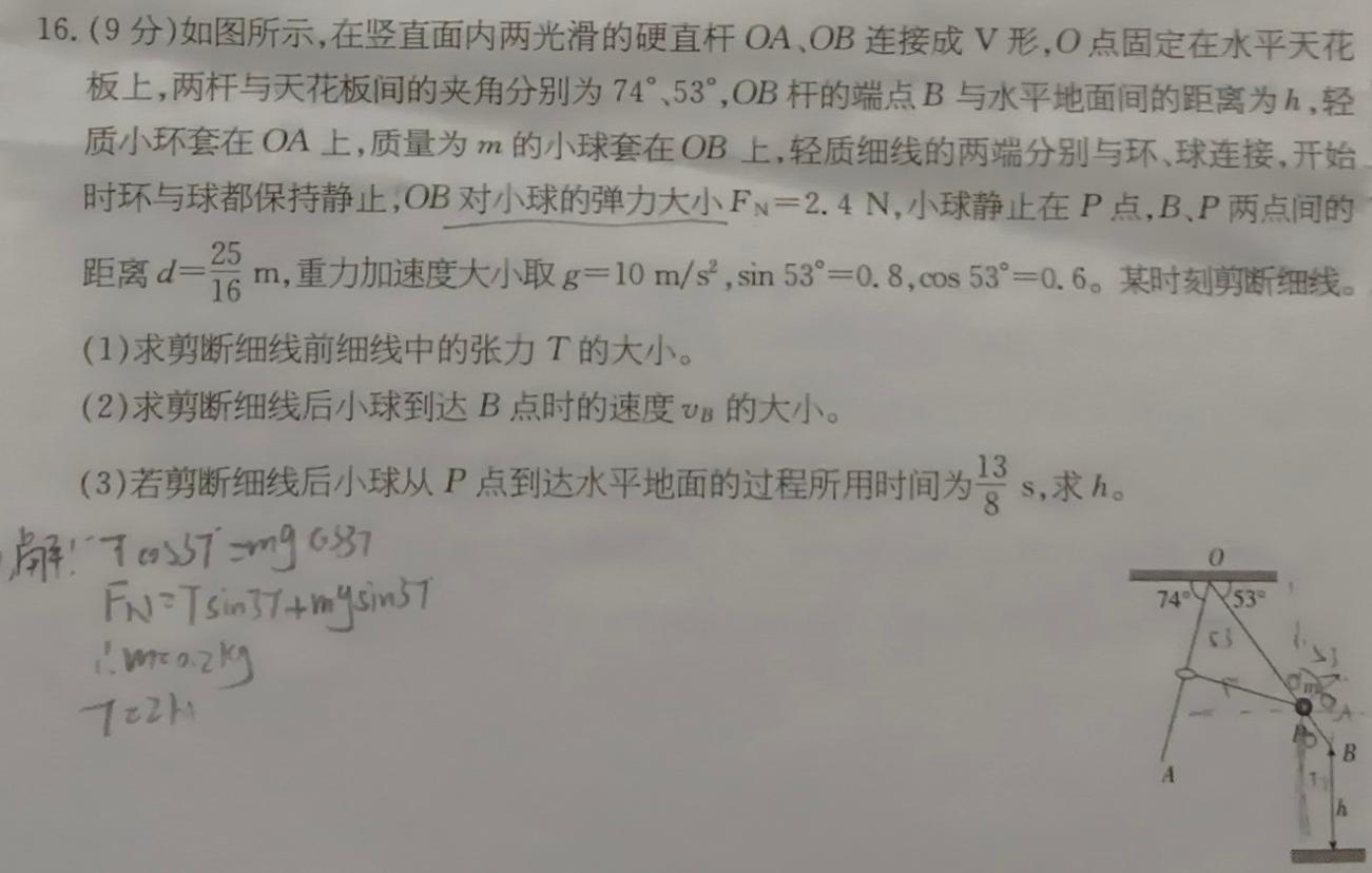 江西省南昌外国语学校教育集团2023-2024学年度第二学期期末质量检测八年级(物理)试卷答案