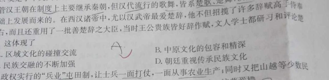 湖北省2024年云学名校联盟高二年级4月期中联考历史