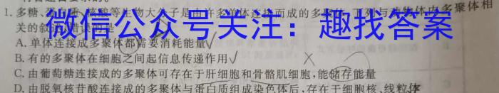 湖北省2024年春"荆、荆、襄、宜四地七校考试联盟"高二期中联考生物学试题答案