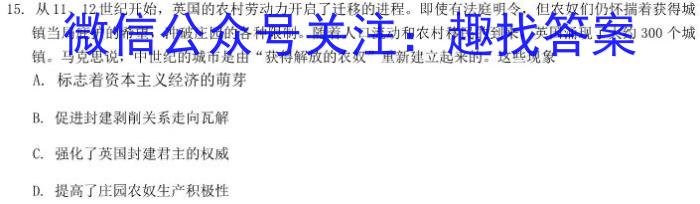 智ZH 河南省2024年中招模拟试卷(四)4&政治