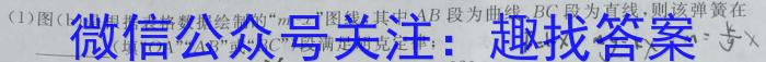 衡水名师卷 2024年高考模拟调研卷(新教材▣)(二)2物理试卷答案