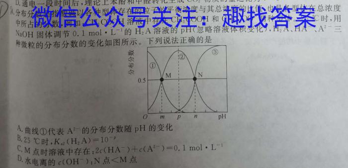 q四川省成都市蓉城高中联盟2026届高一上学期期末考试化学