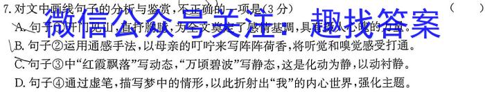 安徽省宿州市泗县2023-2024学年度第二学期八年级期末质量检测语文