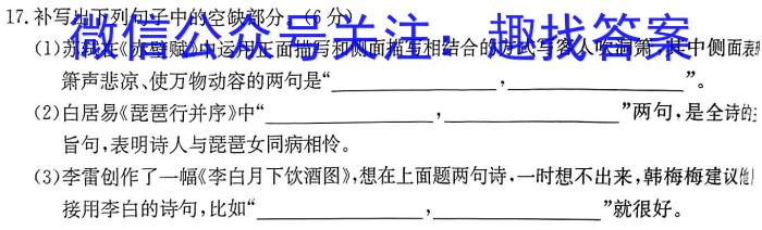 安徽省2023-2024学年度八年级第二学期阶段练习（期中）语文