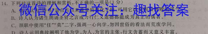 陆良县2023-2024春季学期高二期末考试(605B)语文