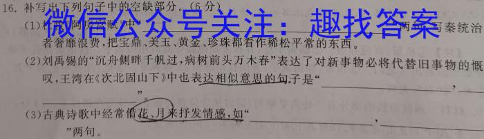 云南省德宏州2023-2024学年高一年级秋季学期期末教学质量统一监测/语文