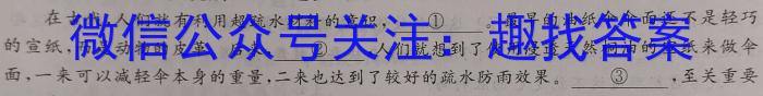 2024年甘肃省普通高中学业水平选择性考试冲刺压轴卷(二)语文