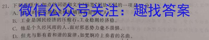 2024年河南省九年级第七届名校联盟考试语文