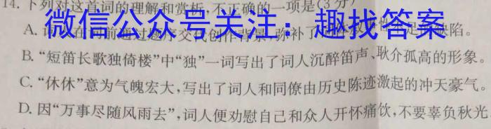 安徽省2024-2025学年九年级上学期教学质量调研(9月)语文