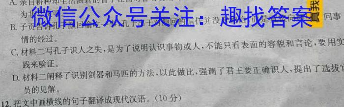 天一大联考2024届高考全真模拟卷(新高考)(湖南专版)(二)语文