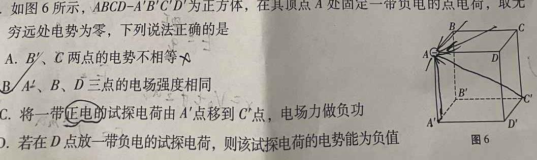 [今日更新]2024届高三年级T8联盟12月份八省联考.物理试卷答案