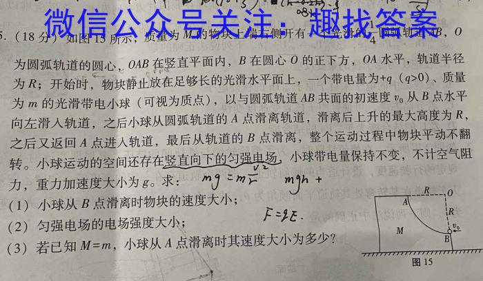 天一大联考 2024届安徽省普通高中高三春季阶段性检测物理