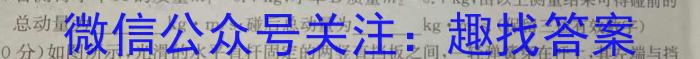 山西省2024年孝义市中考模拟考试题（卷）物理试题答案