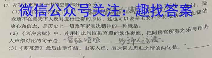 2023-2024陕西省初中毕业暨升学模拟考 最后一卷语文