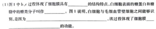 湖北省2024年春"荆、荆、襄、宜四地七校考试联盟"高二期中联考生物学部分