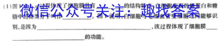 山西省2024年考前适应性评估（一）6LR生物学试题答案