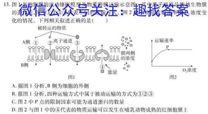 河南省2023-2024学年第一学期七年级期末教学质量检测生物学试题答案