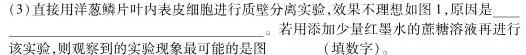 天一大联考 2023-2024学年安徽高三(上)期末质量检测生物学部分