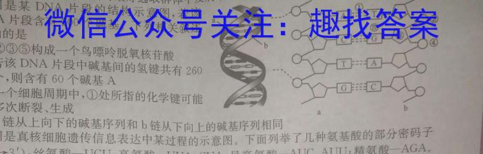 2024年河北省中考押题卷(一)生物学试题答案