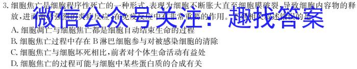 河北省2023-2024学年度八年级下学期期中综合评估（6LR）生物学试题答案