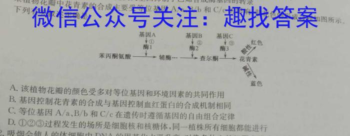 ［石家庄三检］石家庄市2024年普通高中学校毕业年级教学质量检测（三）生物学试题答案