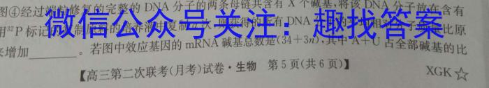 山西省2023-2024学年第一学期八年级阶段性检测三生物学试题答案