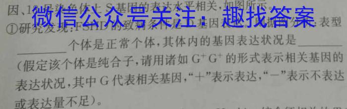 广西省2024届普通高中毕业班12月模拟考试生物学试题答案